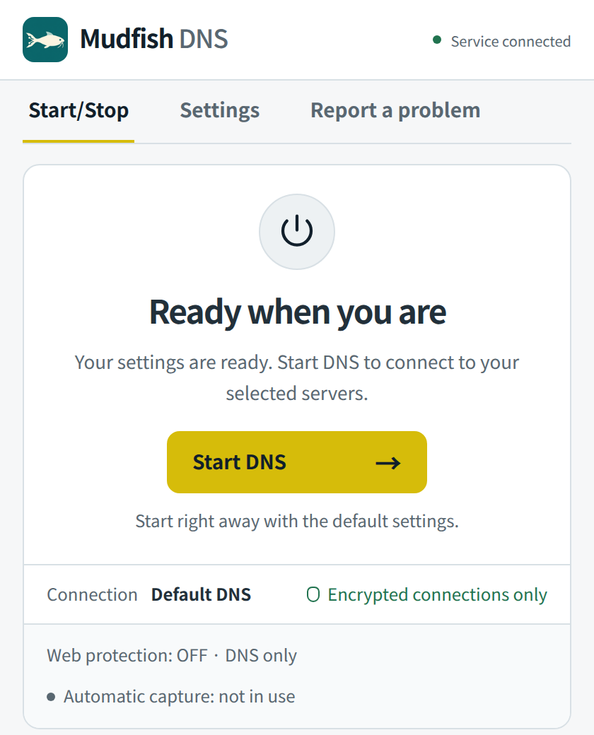 Mudfish DNS app showing the Start DNS button and default settings